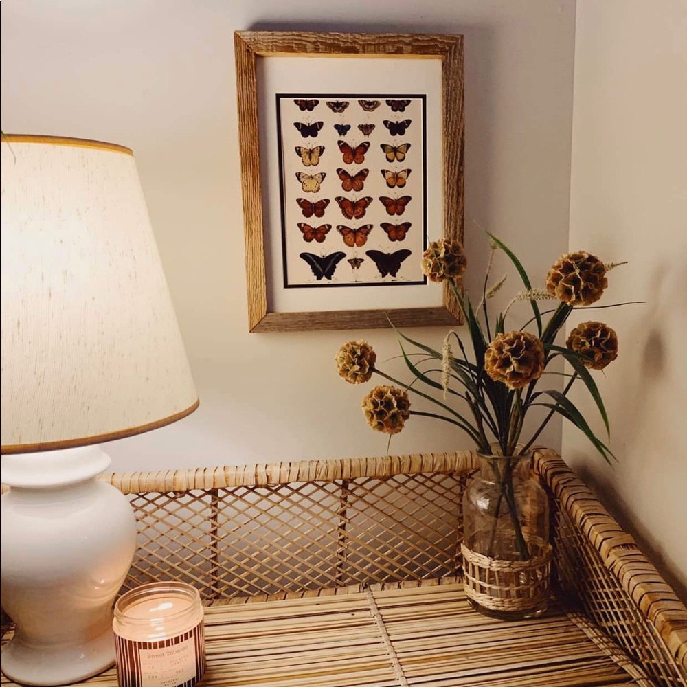 Vintage Butterfly Print 🦋